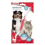 Beaphar Zahnbürste - Für Hunde und Katzen - Mit speziellem...