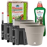 Leni Hydrokultur Komplett-Set | Hydro-Bewässerungssystem | Blumentopf mit Kulturtopf & Wasserstandsanzeiger | Pflanzton & Dünger | Hydrokultur Komplettsystem | Outdoor & Indoor