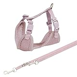 TRIXIE Junior Welpen-Softgeschirr mit Leine Größe S–M: Brustumfang 26–34 cm/10 mm in flieder - gepolstertes anpassbares Hundegeschirr mit 3fach verstellbarer Leine für kleine Hunde, 15564