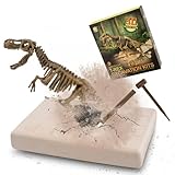 Tyrannosaurus Ausgrabungsset für Kinder, MUSCCCM Dino Spielzeug, 3D-Skelett Dinosaur Modell Dino Ausgrabungsset, Dino Party Kindergeburtstag Spiele, Dino Geschenk Mitgebsel Kindergeburtstag Junge