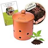wurmkiste.at 3L Wurmvase aus Ton | Beetkomposter Starterset inkl. 250 Kompostwürmer