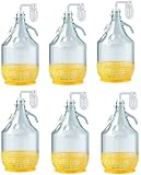 lilawelt24 6X 5L Flasche mit Bügelverschluss +Gummistopfen + Gärröhrchen/Gärballon Set Weinballon Gärbehälter/brauen