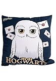 United Labels Harry Potter Kissen - Hedwig - Dekokissen Sitzkissen Zierkissen Blau 30x30 cm