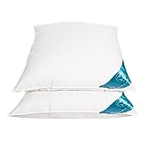 Sandaro Home Kopfkissen 80x80 Daunen-Federnkissen 2er Set, 80 x 80 cm 3 Kammern (1600gramm),100% Naturprodukt in reinem Baumwollbezug, Ultra Comfort Sleeping Pillow