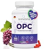 Bandini® OPC Traubenkernextrakt 365 Kapseln | 1076mg je dosis | Höchster OPC Gehalt nach HPLC | 95% reines OPC je Kapsel aus italienischen Weintrauben | 1052mg EXTRAKT mit 999,4mg OPC + 24mg VITAMIN C