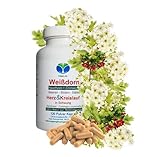 WEISSDORN Weißdorn [HERZ-KREISLAUF] 120 Kapseln 'HERZKRAUT' NATUR pur Weißdornbeeren & Weißdornblätter & Weißdornblüten [OHNE ZUSATZSTOFFE] 27100-120