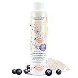Jean & Len Traumlocken Conditioner Reiswasser & Açaibeere,...