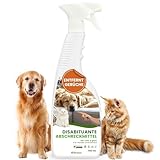Dermazoo Katzenabwehrspray & Hundeschreck 750ml, Anti-Urin-Spray für Hunde & Katze, Katzenabwehr für Garten und Wohnung, Anti Kratz Spray Katzen, Fernhaltespray Möbel & Outdoor Katzenschreck
