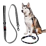 LED Hundeleine, 9 Modi Glühen Im Dunkeln Leuchtende Hundeleine 1,2 M, USB Aufladbar Leuchtend Hundeleinen, Wasserdicht Beleuchtete Hundeleinen Für Kleine, Mittel Große Hunde (Schwarz)