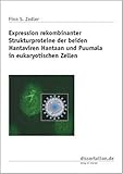 Expression rekombinanter Strukturproteine der beiden Hantaviren Hantaan und Puumala in eukaryotischen Zellen