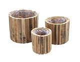 Holz Pflanztopf Natur im 3er Set - 23/20 / 14 cm - Blumen Übertopf Set mit Folie - Garten Deko Blumenschale Kräutertopf Pflanzkasten für den Außenbereich