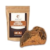 Wildfang® Kauwurzel aus Baumheide für Hunde, Größe S - Natürliches Kauspielzeug Hund, splitterfreies Hundespielzeug unzerstörbar zur Zahnpflege Hund & Welpenspielzeug (für Hunde unter 15 kg), 1 Stück