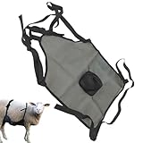 Schürze gegen Zucht von Schafen – zuchtsichere Schürze für Ziegen, Bauernhof, verhindert Haustierrasse, Ausrüstung für Tiere, Pferde, Kühe, Haustiere, Schwarz , Refer to description