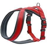 HUNTER Geschirr London Comfort, Rot, M