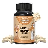 Lamina Care - Multi Vitamine für Hunde und Katzen, Abwehrkräfte und Immunsystem Stärken Hund, 180 Kapseln mit Vitamin A, B, C, D und E zur Unterstützung der Allgemeinen Gesundheit Ihres Haustiers