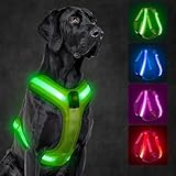 KOSKILL LED Hundegeschirr Wiederaufladbares Beleuchtetes...