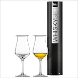 EISCH Malt Whisky Nosing Gläser Jeunesse (2 Stück) in Geschenkröhre, Handgefertigtes Gläser mit Deckel für Blended Whisky und Single Malts, spülmaschinenfeste Kristallgläser (Art.-Nr. 180057)