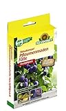 Neudorff Nachrüst Set für Neudomon PflaumenmadenFalle 2 Leimböden und 2 Pheromonkapseln