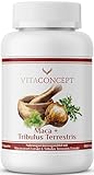 VITACONCEPT I Maca + Tribulus Terrestris (6685 mg + 5680 mg Tagesdosis) I 120 Kapseln I laborgeprüft I vegan