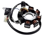 2EXTREME Lichtmaschine einzeln Version 1 kompatibel für REX RS450 QM50QT-6A Qingqi, BENZHOU YY50QT-15 Retro Star, ZNEN ZN50QT-E, MOTOBI Rimini 50 4-Takt, BAOTIAN BT49QT-11 - BT50QT-11, JONWAY YY50QT