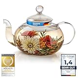 Mundgeblasene Teekanne mit Teefilter & Teesieb Kanne mit Filtereinsatz aus Glas von Dimono; 600 ml perfekt für Teeblumen