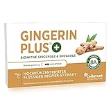 Bio Ingwer-Extrakt Kapseln | 22.000mg Ingwer Pulver | höchste Gingerol & Shogaol Werte | 2 Kapseln Gingerin PLUS entsprechen 33 herkömmlichen Kapseln