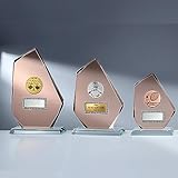 eberin – Jade Glaspokal Red-Rock 10mm, Award für Vereinsfest & Jubiläum, Glastrophäe mit Gravur, inkl. Blauer Geschenkbox