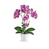 PASCH® Orchideen Künstlich in Hochglanz-Keramiktöpfen (46cm) | Kunstblumen Wie Echt | Künstliche Orchideen im Topf (Lila)