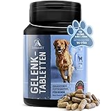 Tierkraft Gelenktabletten - Made in Germany - mit Grünlippmuschel - Teufelskralle - MSM, für Hund - 100 Gelenk- & Knochenschutz Tabletten