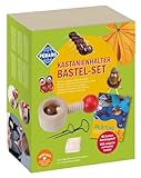 Pebaro Set Kastanienbohrer 5 Kastanien Bastelset,...