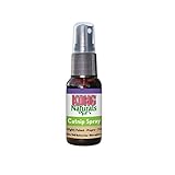 KONG – Naturals Catnip Spray für Katzen – 30 ml (1 Fluid Ounce)