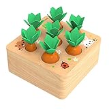 NIWWIN Pädagogische Karotten Ernte Holz Kleinkinder Spielzeug Sortierspiel, Entwicklung Montessori Spielzeug Vorschule Lernen Feinmotorik Jungen Mädchen Spielzeug (FBM-Carrot-A)