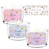 Duftkerzen Set Geschenk für Frauen, Duftkerze im Glas Geschenk, 3 Stück Dufted Kerzen Geschenk Set mit Deckel,100 Std,100% Soja-Wachs, Tragbare Reisekerzen Zum Stressabbau, Geburtstag Gift für Familie
