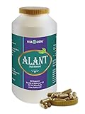 VITA IDEAL® Alant Wurzel 360 Kapseln - Inula helenium - Tagesportion 800mg Alantwurzel reines Pulver, ohne Zusatzstsoffe