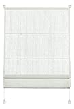 Gardinia 33923 Easyfix Raffrollo transparent 80 x 140 cm, weiß