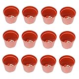 BESPORTBLE 30 Stück Sämling-Ernährungsbecher Hanging Basket blumenampeln blumenübertopf Outdoor bluemnkasten Anlage Pflanzen Blumentopf Kindergarten-Ernährungsbecher pp Brown Wiederverwendbar