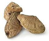 Kauwurzel für Hunde | Kauspielzeug aus Wurzel der Baumheide | Nachhaltig, unbehandelt & absolut unbedenklich | Natürlicher Kauknochen ohne Kalorien | Bruyère Holz aus Portugal (Kauwurzel 450 - 700 g)