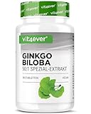 Ginkgo Biloba 6000 mg - 365 Tabletten – Premium Extrakt: Mit Flavonglykoside + Ginkgolid-Terpenlactone & frei Ginkgolsäure - Laborgeprüft - Hochdosiert – Vegan