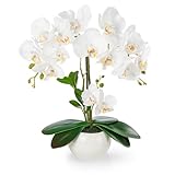 PASCH® Orchideen künstlich in Hochglanz-Keramiktopf (40cm) | Kunstblumen im Topf | Kunstblumen wie echt | künstliche Orchideen im Topf | künstliche Blumen im Topf | Kunstblume Orchidee