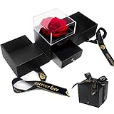 E-MANIS Schönheit und das Biest Rose Handgemachte konservierte Rose Schmuck Geschenkbox Nie verwelkte Rosen Ewige Blume für Liebhaber Geschenk für Sie AmValentinstag Muttertag Weihnachtstag (Rot)