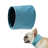 Chumix Hunde Halstücher Kühlend, Kühlhalsband für Hunde, Halstuch Hund, Sommer Kühlung Hundehalstuch, Hundehalsband Kühlend, Kühlende Bandana Hund, für Kühlhunde im Sommer, Größe M(45x13cm)