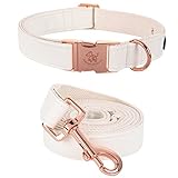 Elegant little tail Hundehalsband und Leine aus Leder, Weiß, strapazierfähiges Hundehalsband, Mädchen- oder Jungen-Haustierhalsband, verstellbare Hundehalsbänder für X-Small-Welpen