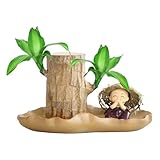 Brasilianische Holzpflanze, Hydrokulturholz, Sprossen, Baumstumpf, Hydrokultur-Topfpflanze, Pflanzen für den Innenbereich für den Schreibtisch