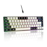 SHANGZHAOYUAN Gaming Tastatur, Ultra-Compact Mini 68 Tasten Anti-Ghosting, RGB-Beleuchtung Tastatur Kabelgebunden mit Red Switch, 60% Mechanische Tastatur QWERTY US Layout für PC Windows Gamer Typist