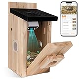 RAINBEAN Smart Bird House mit Kamera, 4MP Nistkasten Kamera für den Außenbereich, automatische Aufnahme von Vogelvideos und Bewegungserkennung, Beobachten Sie das Nisten und Schlüpfen