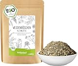 Weidenröschen kleinblütig BIO Weidenröschentee aus...