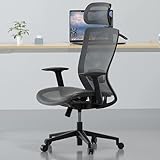 FLEXISPOT Bürostuhl Ergonomischer Schreibtischstuhl mit...