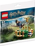 LEGO® Harry Potter 30651 Quidditch Training