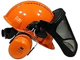 Forst-Helm von 3M Kopfschutzkombination G3000M (Gehörschutz und Gesichtsschutz)