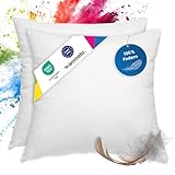 wometo 2er Set Federkissen 100% Federn 50x50-600g oekoTex Kissen Füllkissen Bezug Baumwolle weiß/Innenkissen/Kissenfüllung/kleine Kopfkissen (2 Stück)
